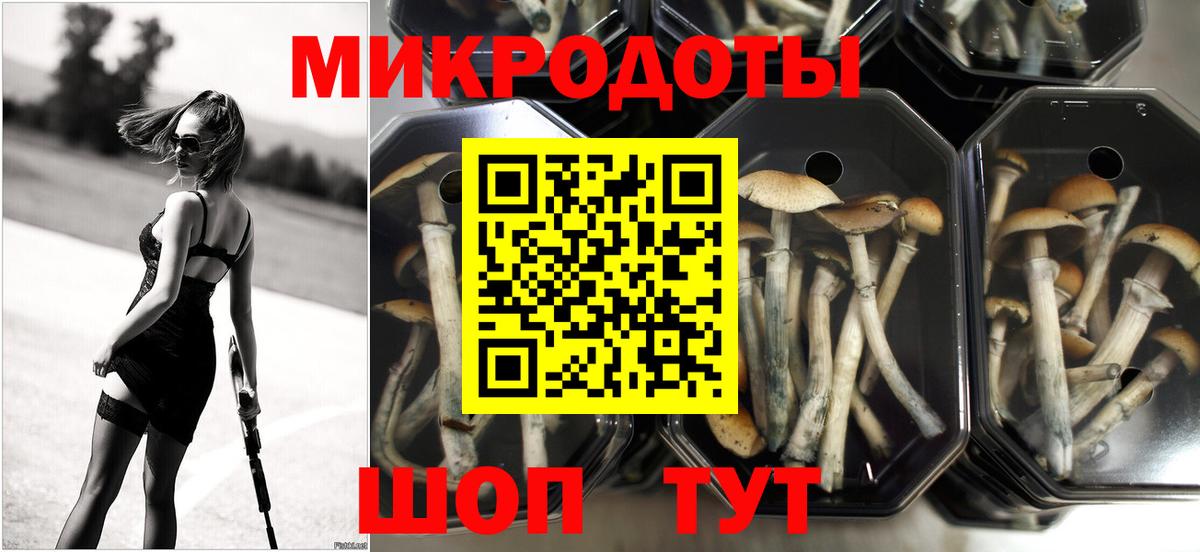 Псилоцибиновые грибы Cubensis Изобильный